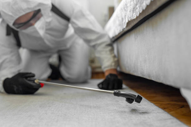 Professional Bed Bug Control technician working in Kahaluu, HI