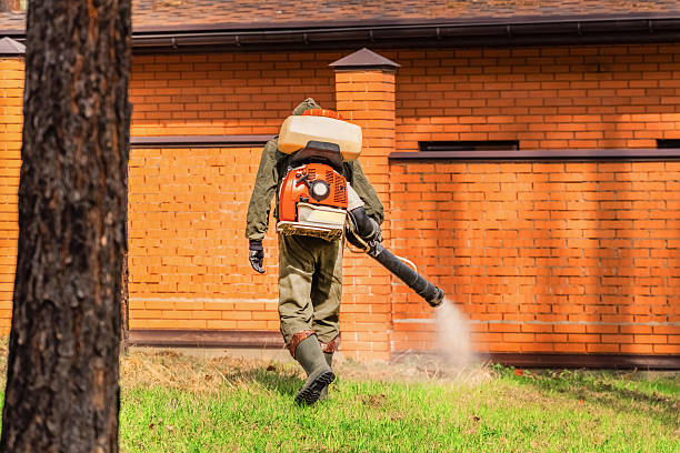 Trusted Mosquito Control service in Kahaluu, HI - Nex Pest Control